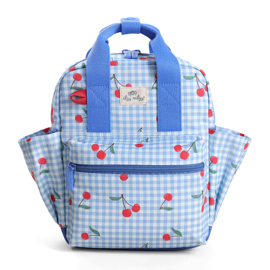Toddler Sized Tube Feeding Backpack | 500ML | for EnteraLite Infinity Pump | XS | Gingham Cherries