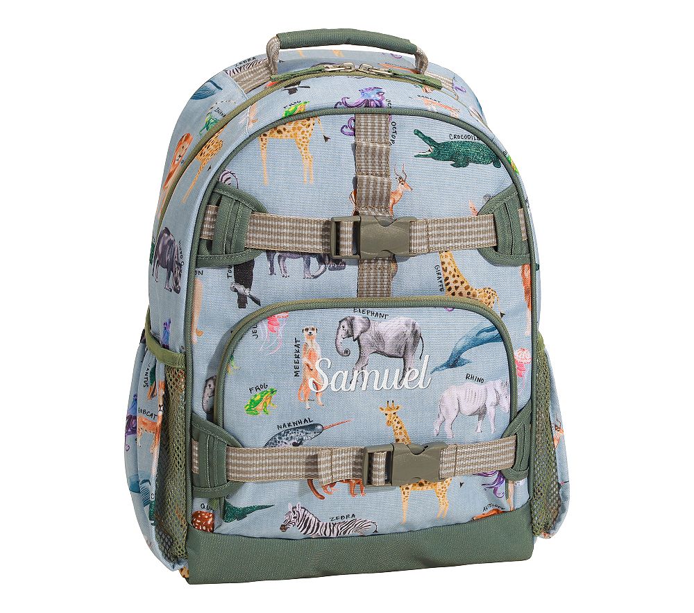 Pottery Barn Boys Adapted Backpack | 12 | for Enteralite Infinity PumpPackz Pottery Barn Boys Adapted Backpack | 12 | for Enteralite Infinity PumpPackz
