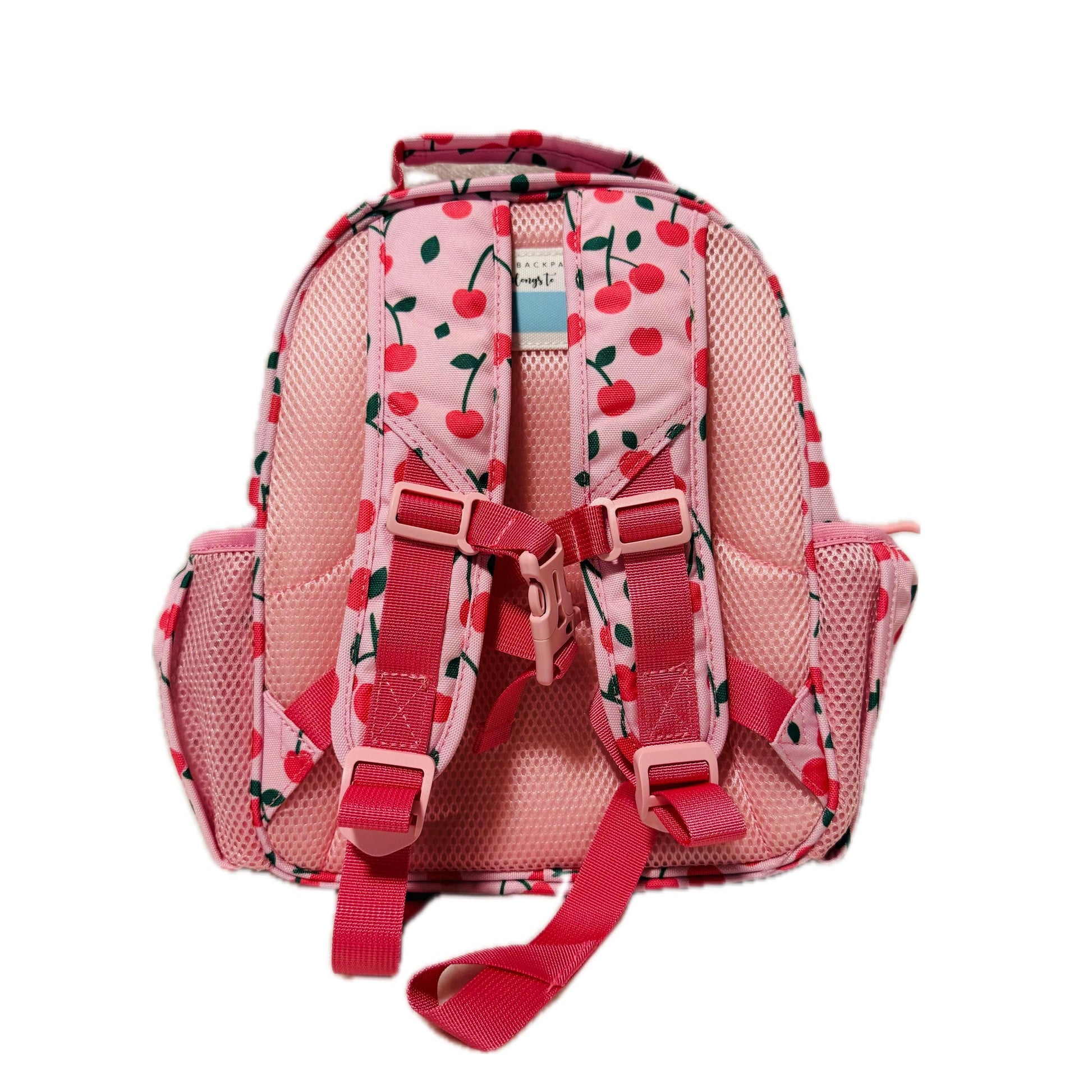 Small Feeding Tube Backpack | Pink Cherries | For EnteraLite Infinity Feeding Pump, Kangaroo Joey / Omni | 12”